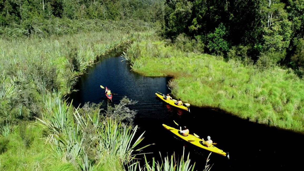 Franz Josef Wilderness Tours