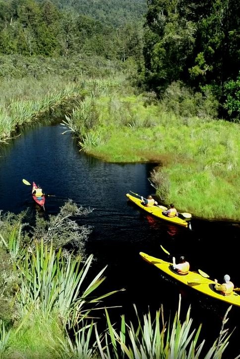 Franz Josef Wilderness Tours