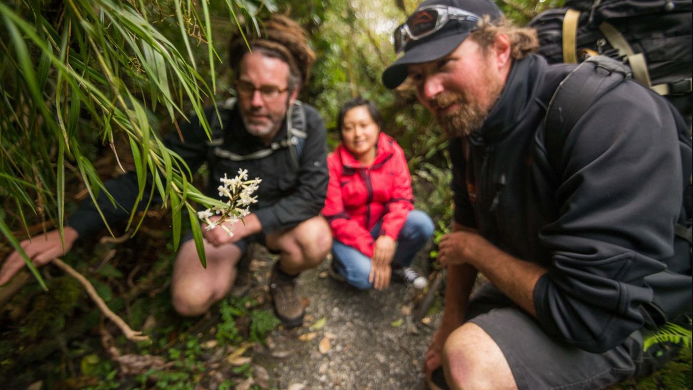 Glacier Valley Eco Tours