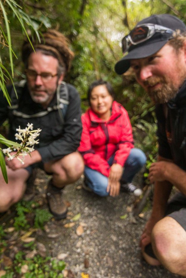 Glacier Valley Eco Tours