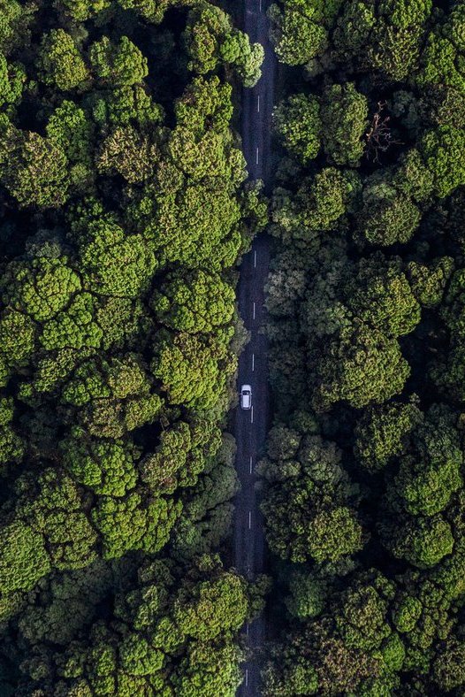 Haast-Jackson-Bay-Road-West-Coast-1-credit-RoadyNZ-large.2e16d0ba.fill-1400x788