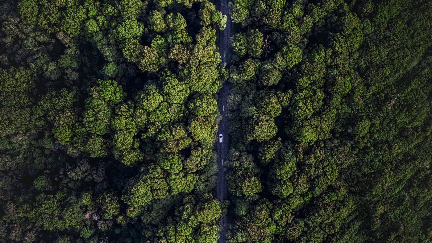 Haast-Jackson Bay Road, West Coast 1 (credit RoadyNZ)-large