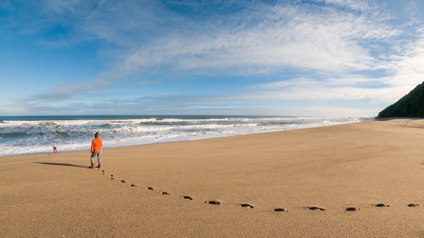 Heaphy_and_ Scotts_beach (16 of 96).jpg