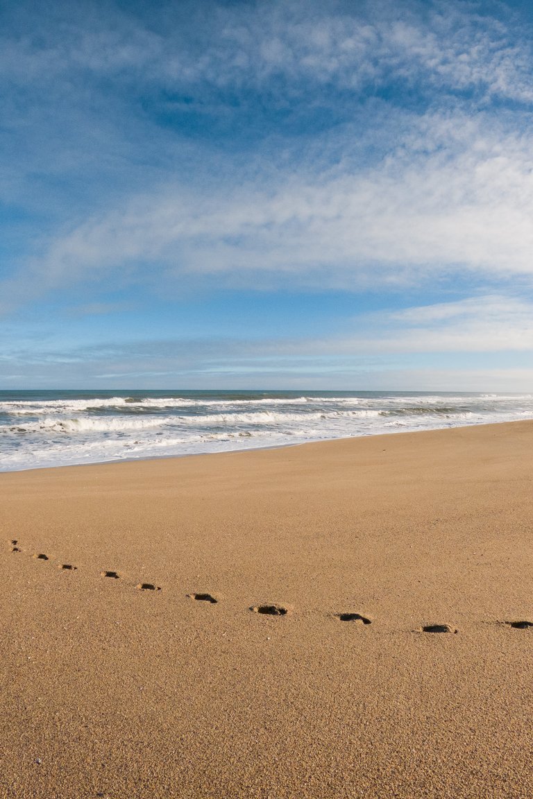 Heaphy_and_ Scotts_beach (16 of 96).jpg