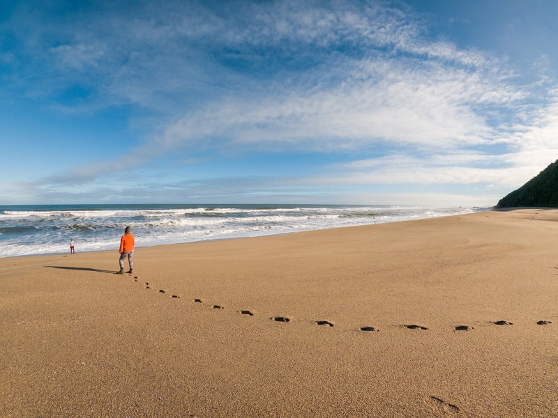 Heaphy_and_ Scotts_beach (16 of 96).jpg