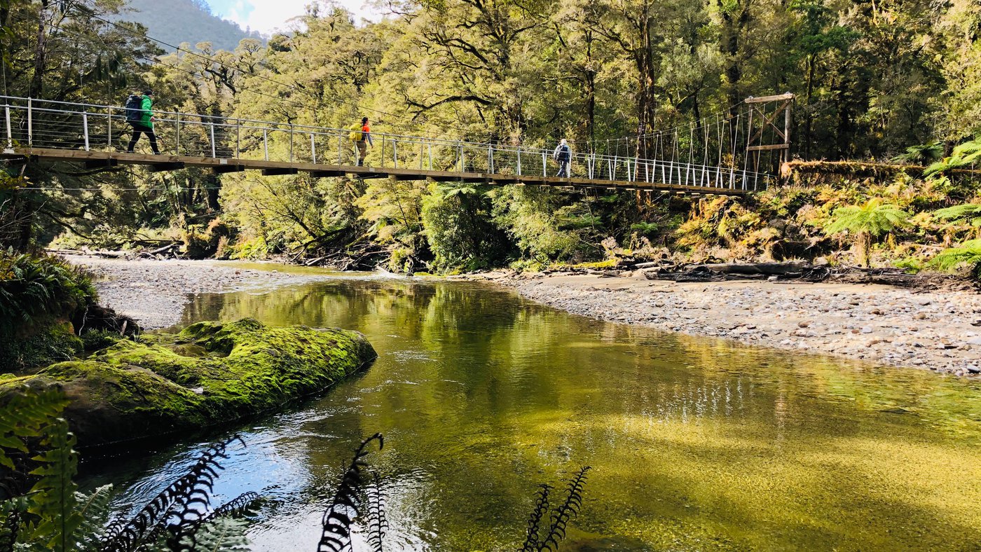 The Paparoa Track