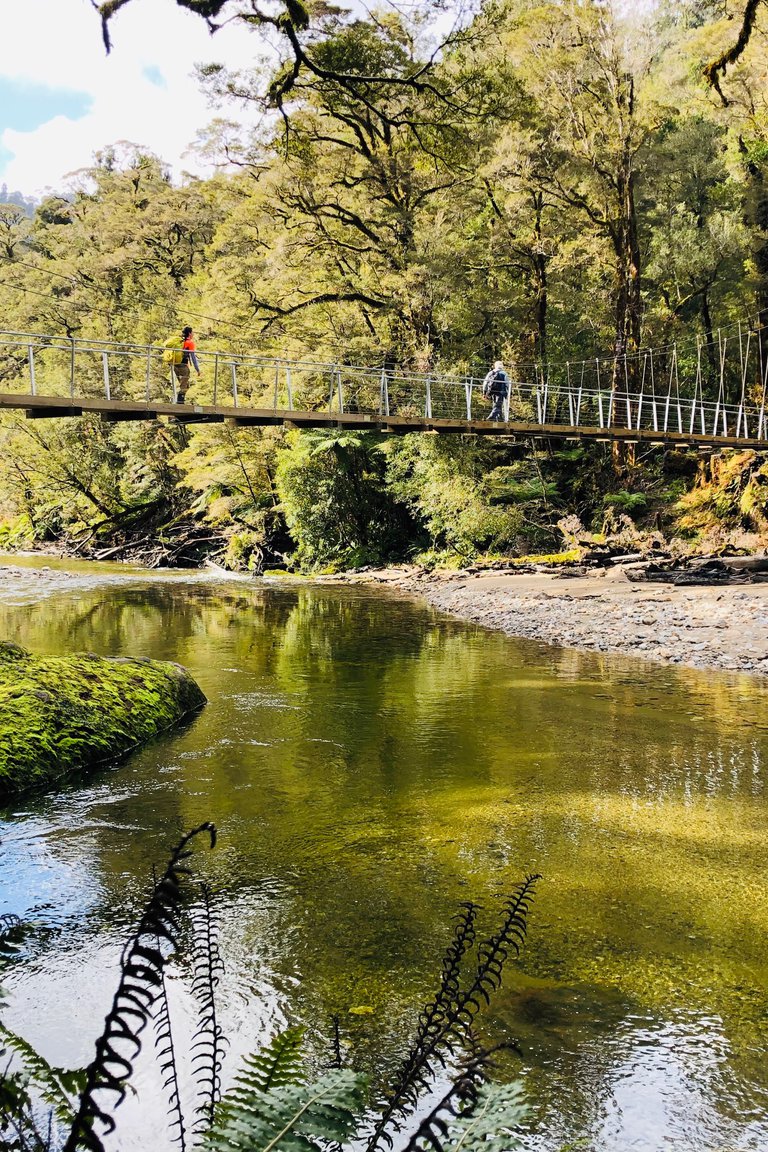 The Paparoa Track