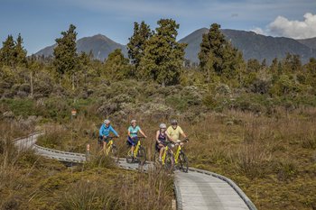 Mahinapua board walk section, West Coast Wilderness Trail.