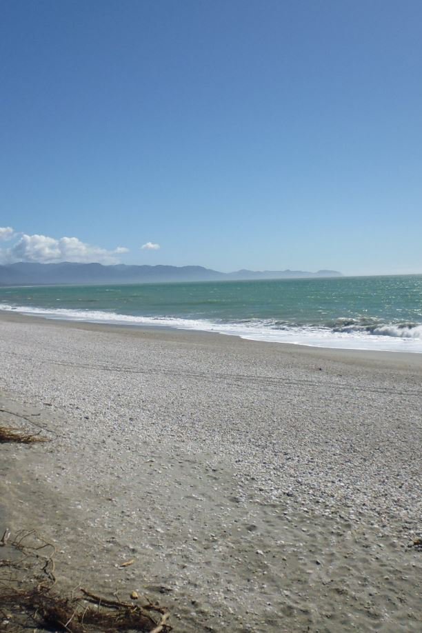 View to Jackson Bay haast