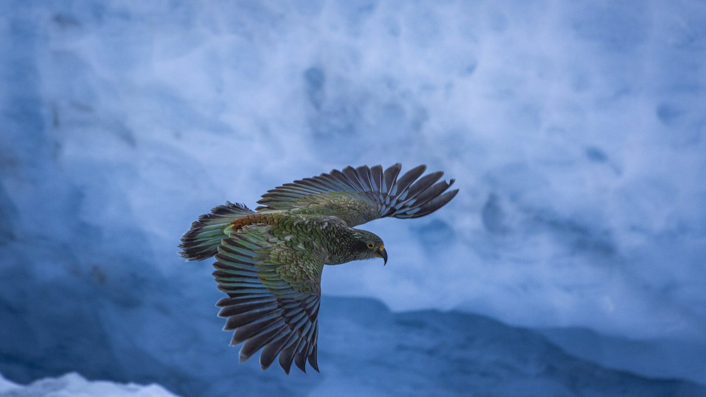 kea-geoffmarks.2e16d0ba.fill-1400x788