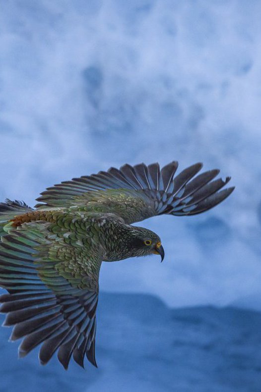 kea-geoffmarks.2e16d0ba.fill-1400x788