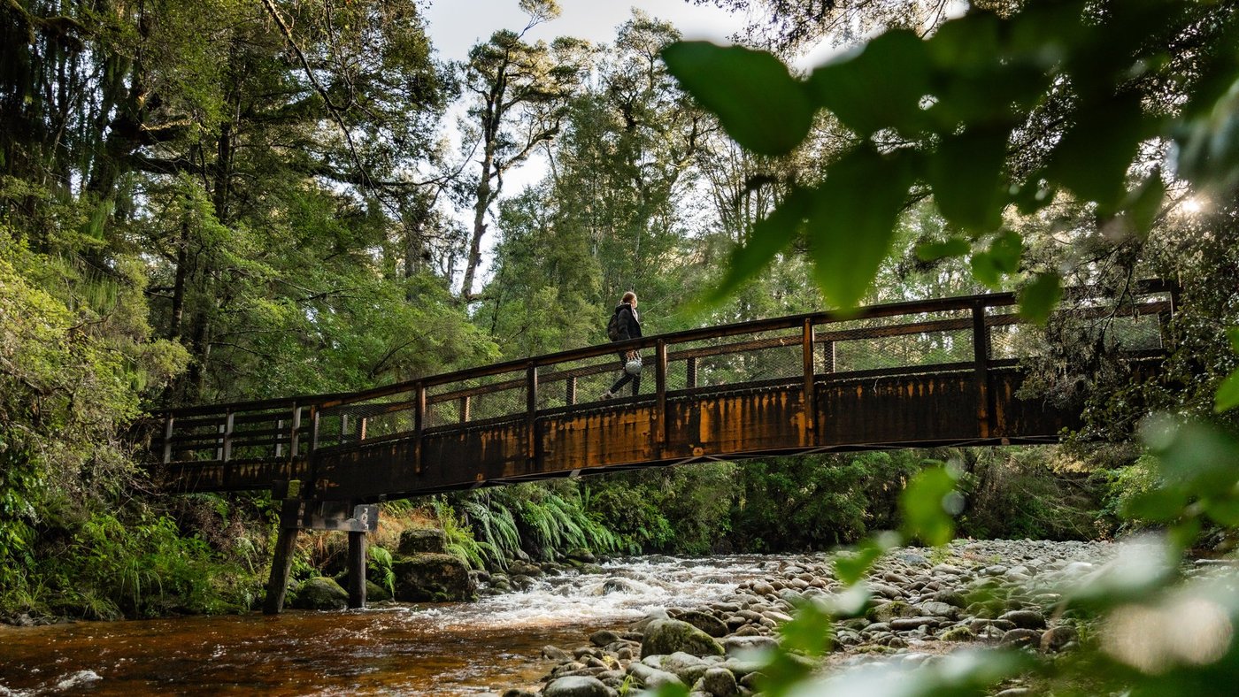 Oparara-Arches-Basin,-Karamea-(credit-RoadyNZ)-large-2