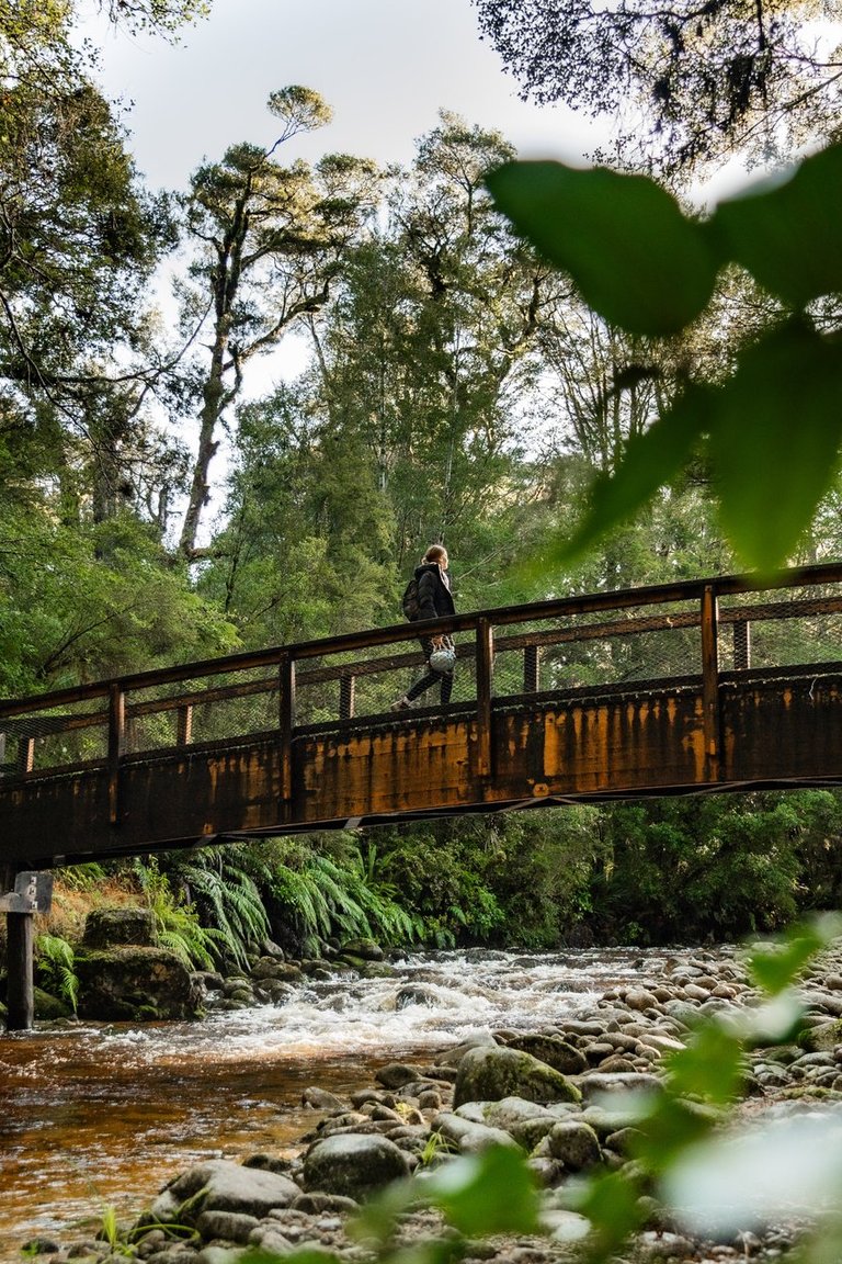 Oparara-Arches-Basin,-Karamea-(credit-RoadyNZ)-large-2