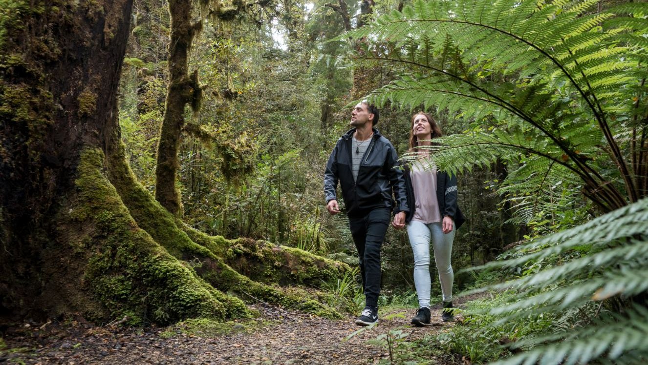 Oparara Arches walkway