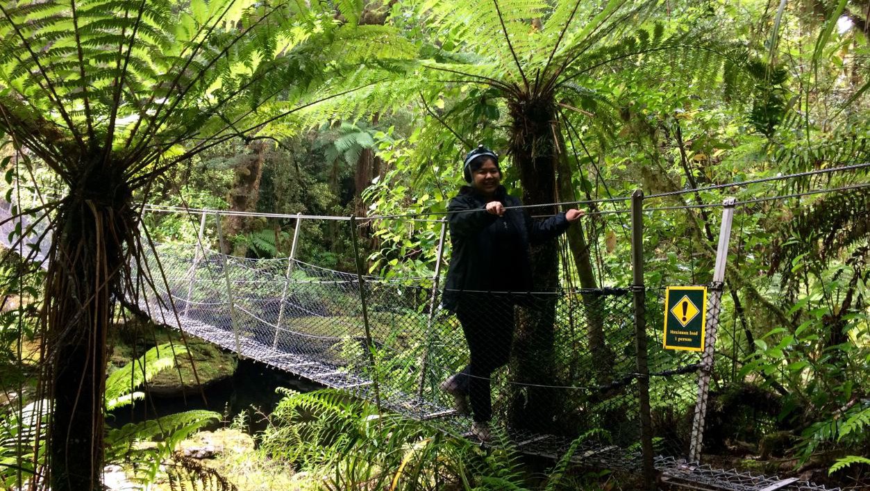 Karamea Honeycomb Cave, Oparara Basin