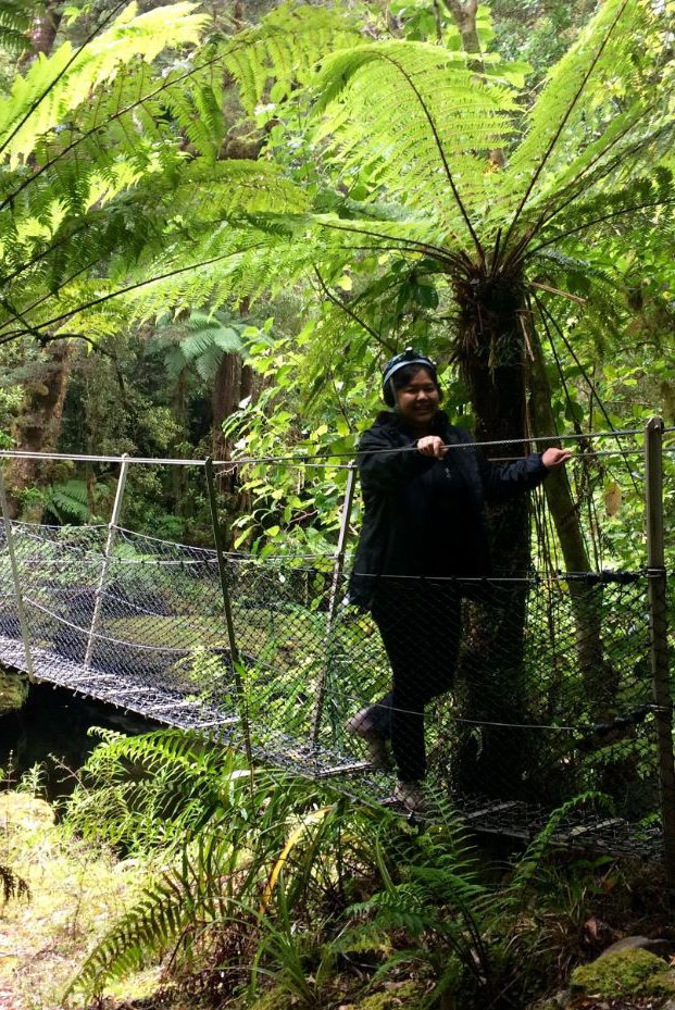 Karamea Honeycomb Cave, Oparara Basin