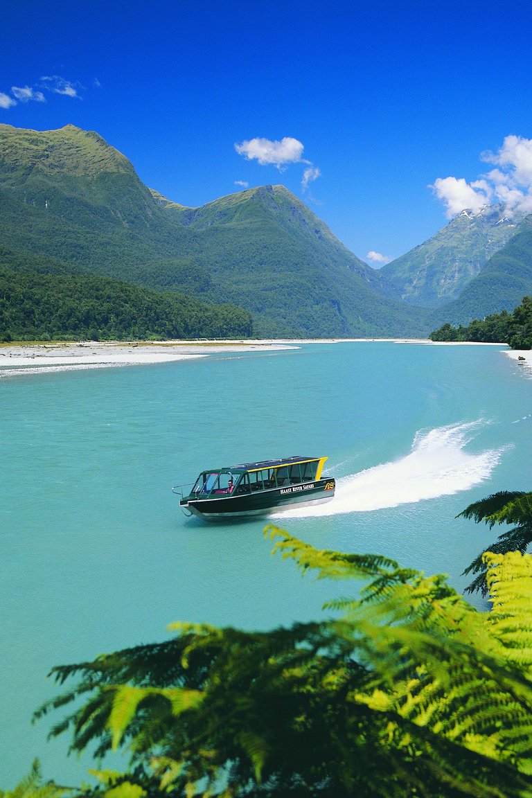 Haast River Safari