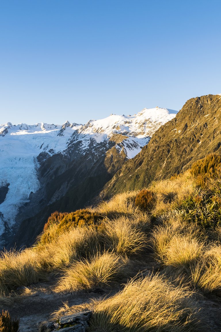 Franz Josef Glacier from Alex Knob