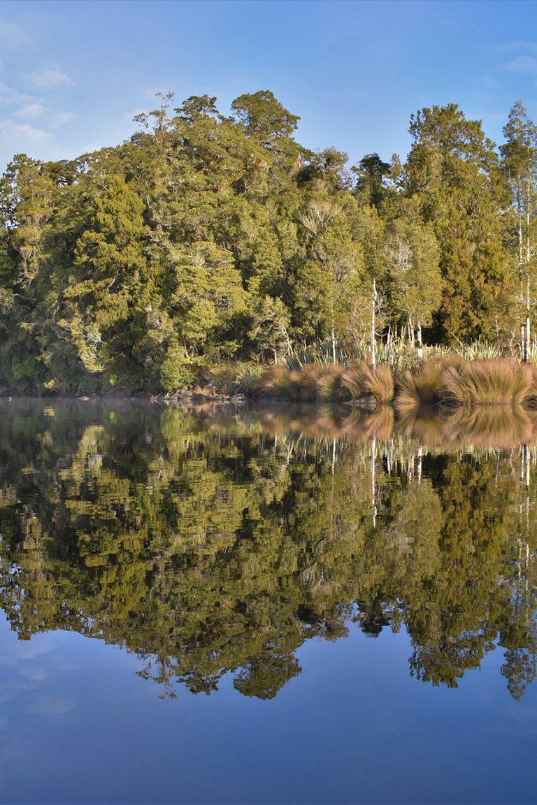 Lake Mapourika - a scenic gem on the wild West Coast.