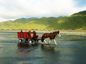 Golden Sands Horse and Wagon Tours | Logo