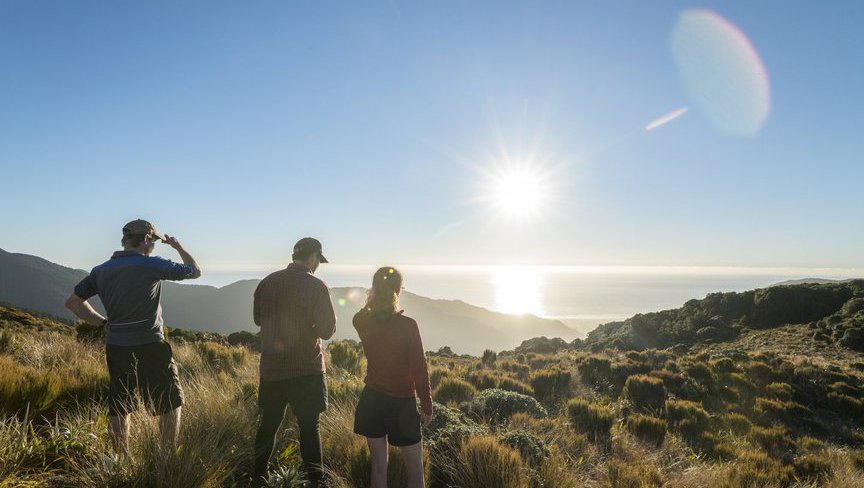 paparoa-national-park-Stewart_Nimmo