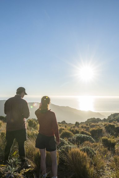 paparoa-national-park-Stewart_Nimmo