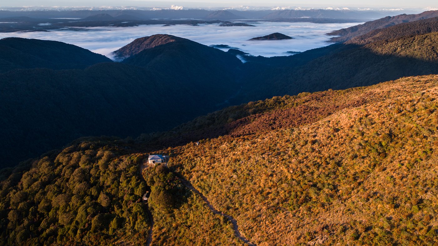 Paparoa Track