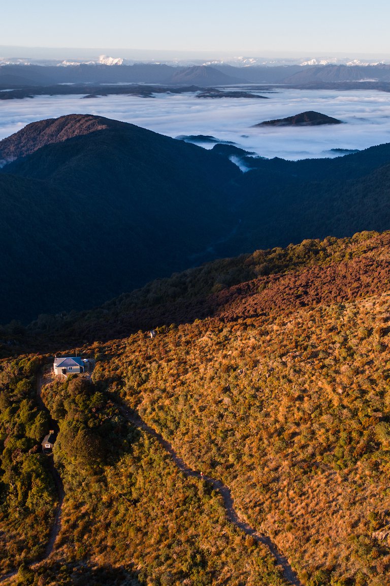 Paparoa Track