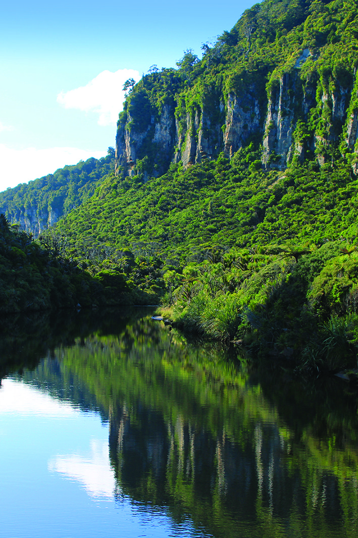 Pororari River