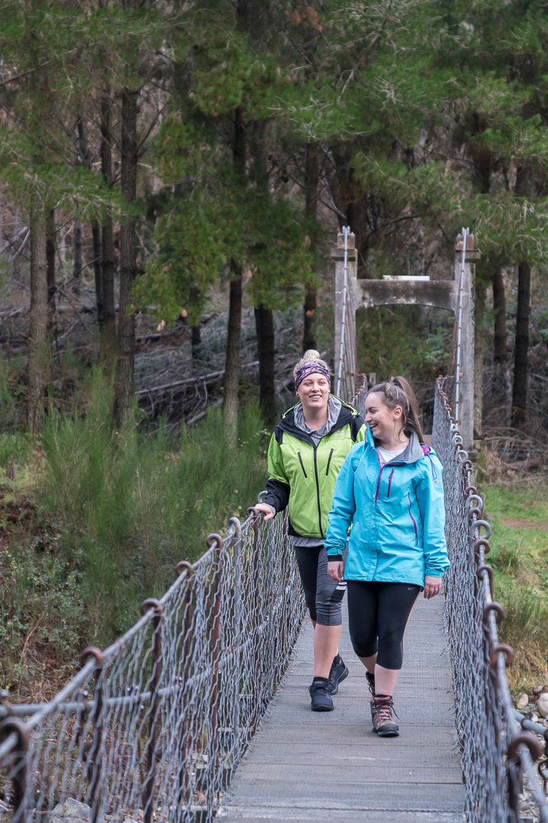 Reefton walks - 3473