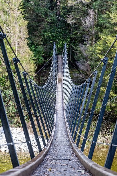 Swing_bridge_across_Waitahu_River_Victoria_Forest_Park_West_Coast_New_Zealand_13._JrYuVnP