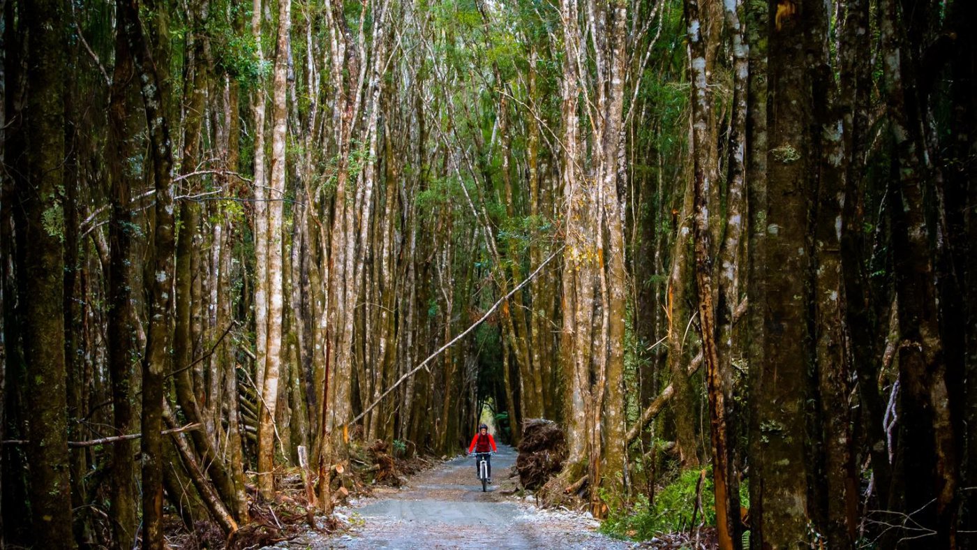 West Coast Wilderness Cycle Trail