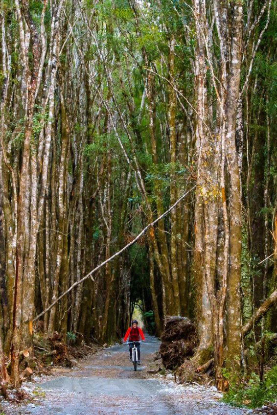 West Coast Wilderness Cycle Trail