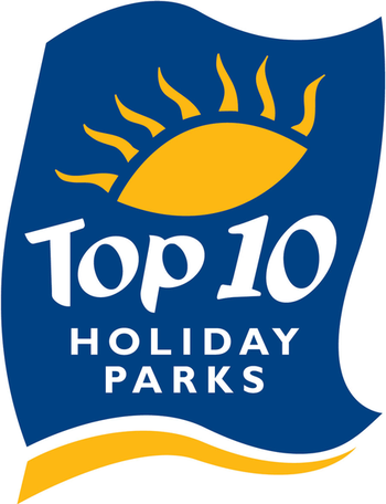 top 10 logo