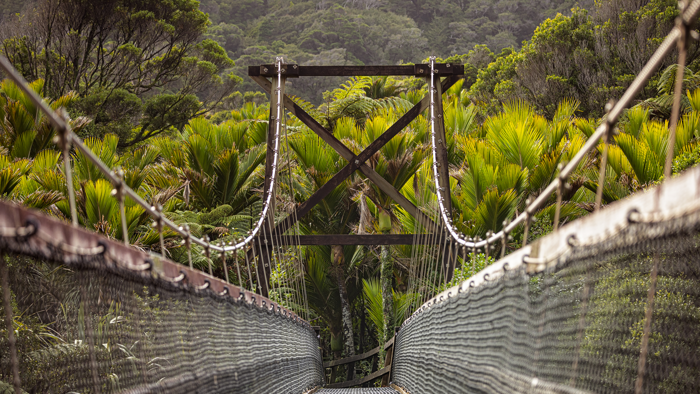 Start of Heaphy Track