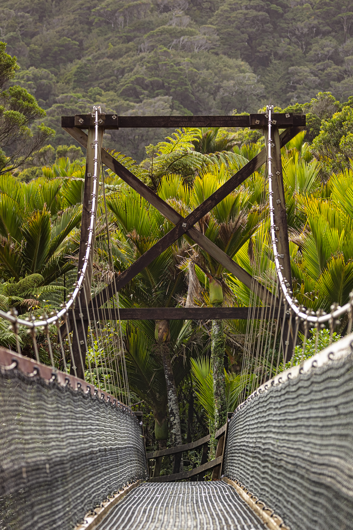 Start of Heaphy Track