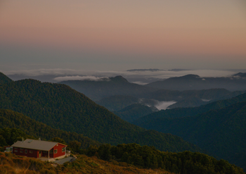 Paparoa Guided Walks | Logo